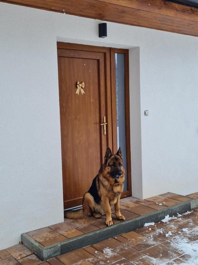 Apartmany Bystra-Chopok Brezno Εξωτερικό φωτογραφία